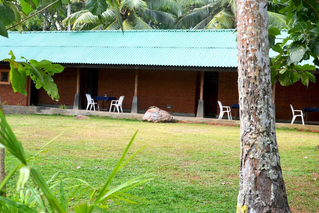 Jungle Beach Hostel Unawatuna Eksteriør billede